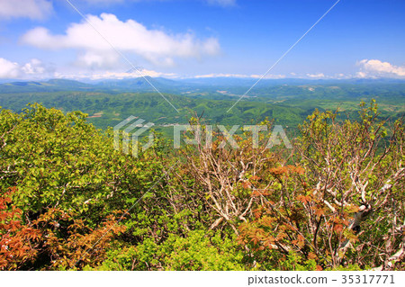 從Mt. Tokusu看到的初夏山脈 35317771