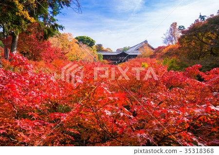 京都東福寺的秋天的落葉 京都東福寺的秋天的落葉 35318368