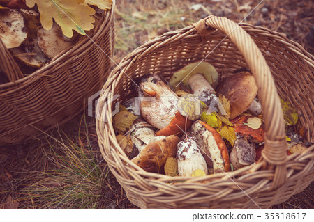 Mushrooms Mushrooms 35318617