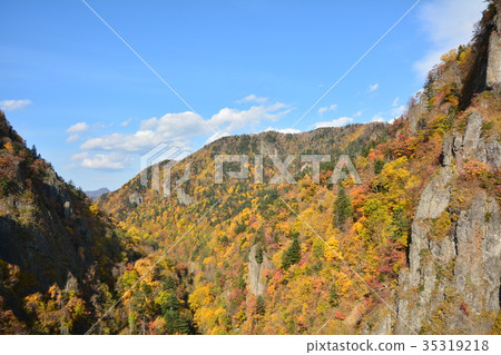 北海道豐平峽谷壩（Jozankei）秋葉 35319218