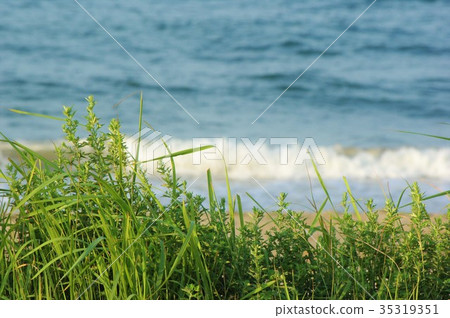 Sea Sea 35319351