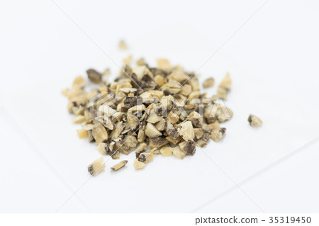 漢方草藥Kawashima Senkyu 35319450