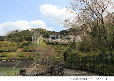 Nomura dam Nomura dam 35320188