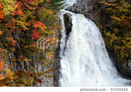 秋天博多秋天秋田 35320426