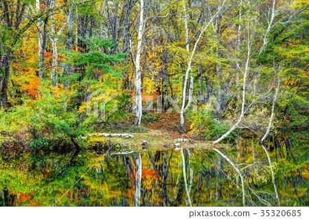 Fall Autumn Akiyamago Tenike 35320685