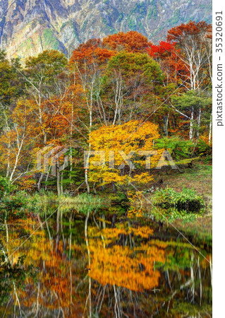 Fall Autumn Akiyamago Tenike 35320691