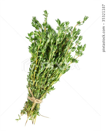 Bundle of thyme Bundle of thyme 35321187