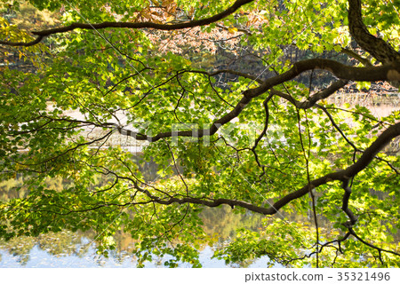 Ominenuma Aki color Minakami Town Tsukino Ominenuma Aki color Minakami Town Tsukino 35321496