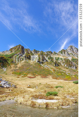 Senjakiken curl in autumn Senjakiken curl in autumn 35322559