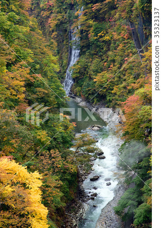 Koankyo of autumn leaves Akita 35323137