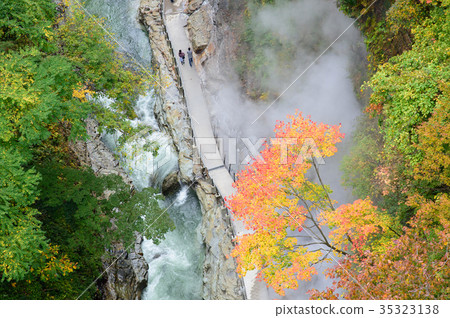 Koan Gorge of autumnal leaves Akita Prefecture 35323138