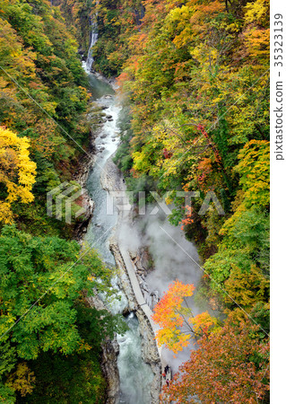 Koankyo of autumn leaves Akita 35323139
