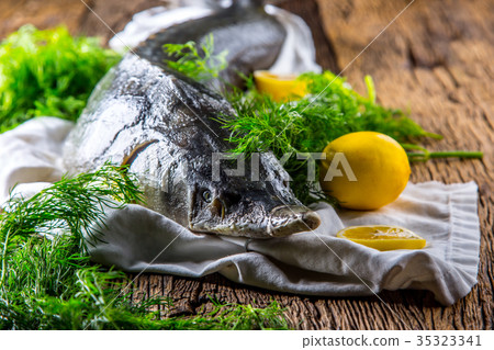 Sturgeon fish with dill and lemon on rustic table. Sturgeon fish with dill and lemon on rustic table. 35323341