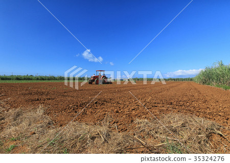 培養與拖拉機的人甘蔗領域 35324276
