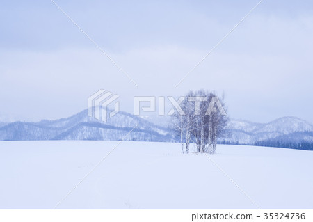 Snowy field Snowy field 35324736