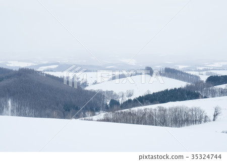 Snowy field Snowy field 35324744