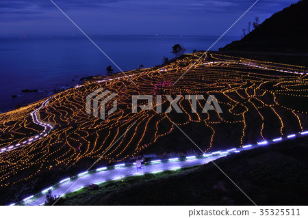 Illumination of white rice Sen Itta Illumination of white rice Sen Itta 35325511