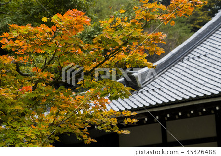 Kamakura Kita Kamakura Engakuji Temple Ogata Takeshi October 35326488