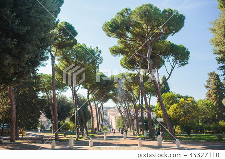 autumn in Rome Colosseum Italy autumn in Rome Colosseum Italy 35327110