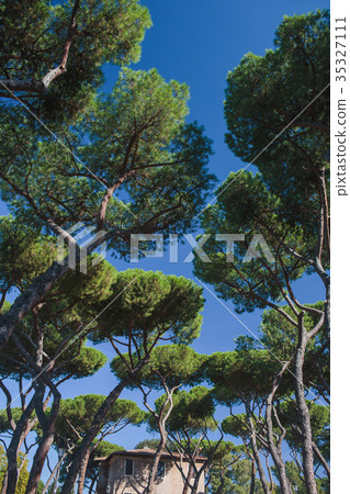 autumn in Rome Colosseum Italy autumn in Rome Colosseum Italy 35327111