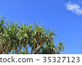 伊拉布島的天空和阿丹的果實 35327123