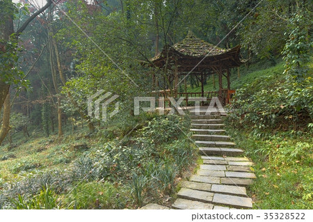 Stairway leading up in the park 35328522