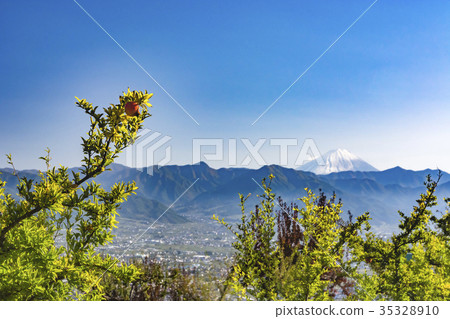 石榴和富士山 35328910