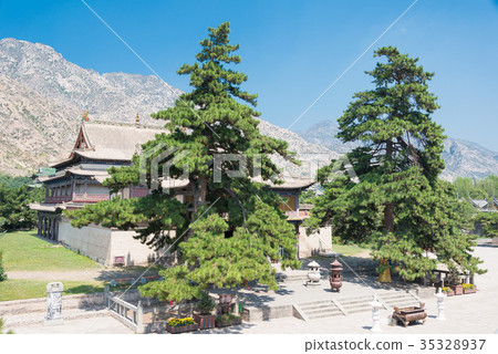 藏傳佛教寺廟Biei Shuang包頭市,內蒙古,中國 藏傳佛教寺廟Biei Shuang包頭市,內蒙古,中國 35328937