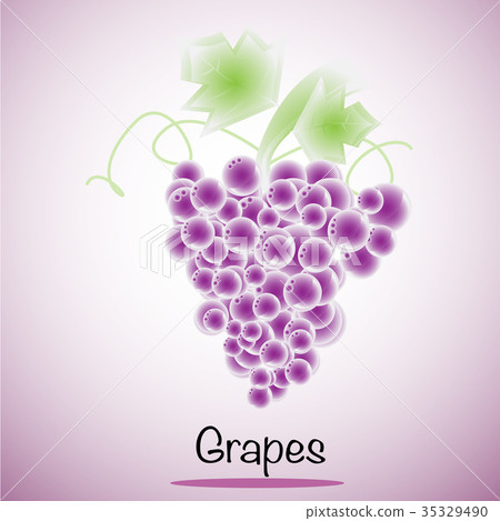 Grapes Vector Fruits and vegetables. Grapes Vector Fruits and vegetables. 35329490