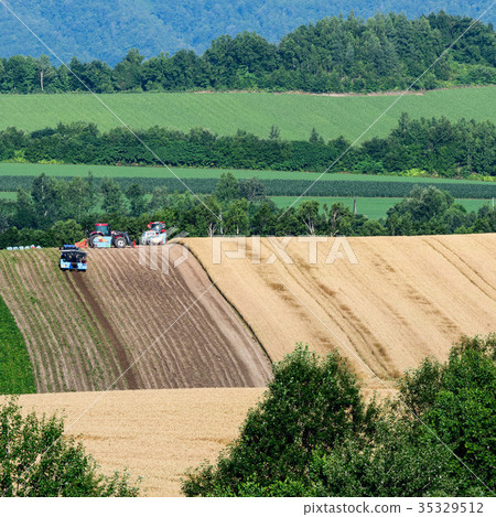 Biei Hokkaido夏天視圖 35329512