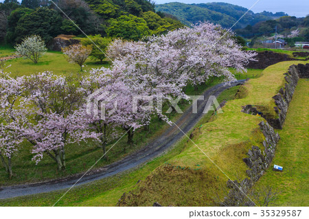 名古屋城堡廢墟的佐倉佐賀唐津 名古屋城堡廢墟的佐倉佐賀唐津 35329587