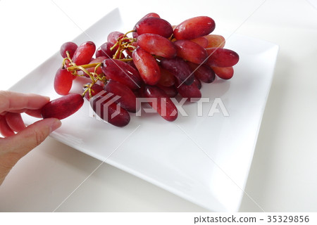 Grape (Manicure finger) 35329856