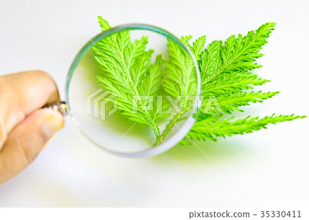 Hand holding a magnifying glass through  35330411