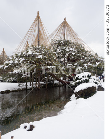 Kenrokuen Snow Hanging Kenrokuen Snow Hanging 35330572