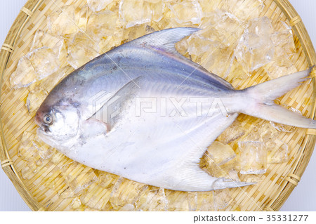 Managazuo ingredients Managazuo ingredients 35331277