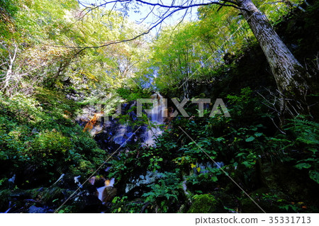 蔚山金線幽靈瀑布 蔚山金線幽靈瀑布 35331713