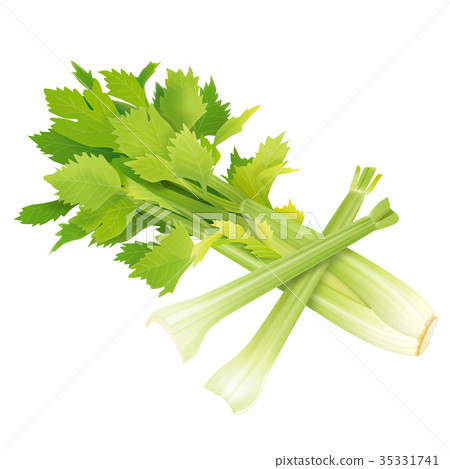 celery  35331741