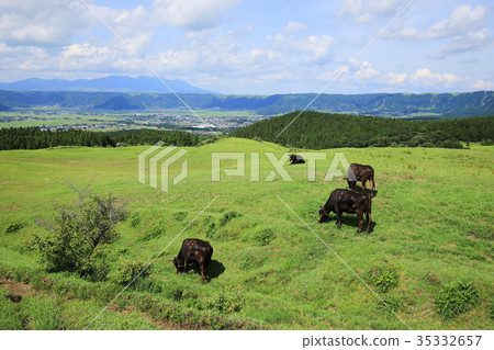 Ranch and Aso Basin along the summer Aso panorama line 35332657
