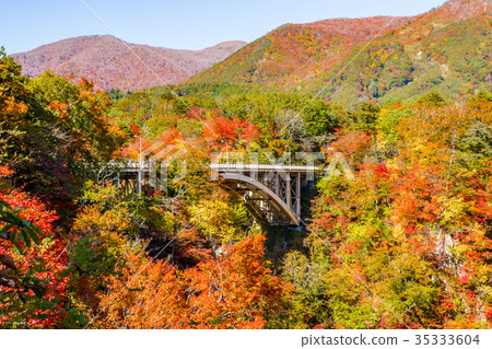 [Miyagi Prefecture] Autumn leaves of Naruko Gorge 35333604
