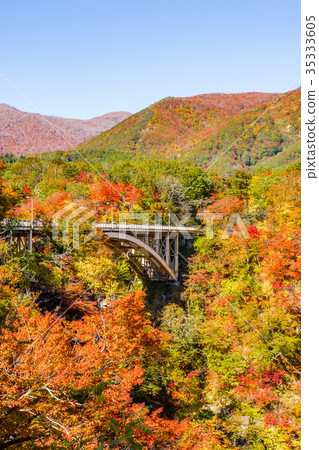 [Miyagi Prefecture] Autumn leaves of Naruko Gorge 35333605