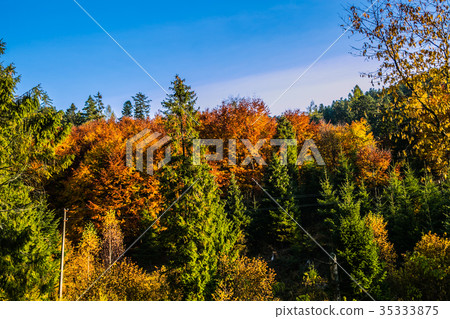 Slovakian nature autumn landscape Slovakian nature autumn landscape 35333875