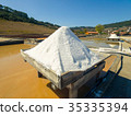 Production of Salt by Evaporation Saline 35335394