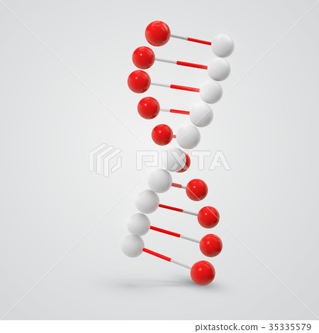 colorful Dna molecule isolated on white  35335579