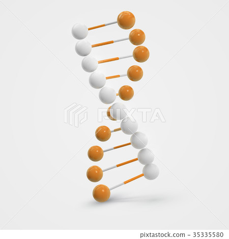 colorful Dna molecule isolated on white 35335580