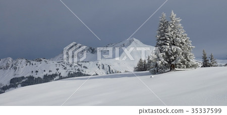 Winter scene near Gstaad, Switzerland. 35337599