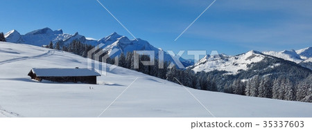 Mountain range seen from mount Hohe Wispile. 35337603