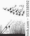 Fishing rod on the shore of the lake and geese 35338092