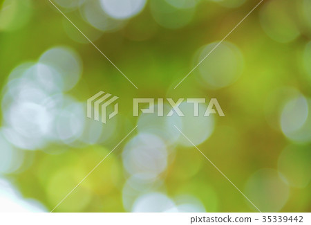 Bokeh natural color background, colorful leaf Bokeh natural color background, colorful leaf 35339442