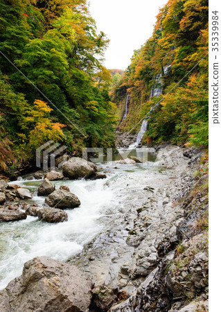 Koankyo of autumn leaves Akita 35339984