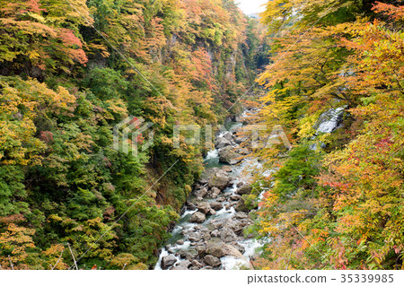 Koankyo of autumn leaves Akita 35339985